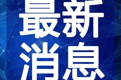 雷电大炮爆料视频最新版,揭秘神秘武器性能与实战应用