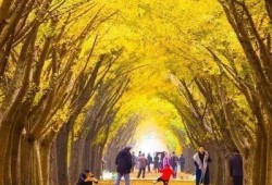 邳州热点爆料最新消息,突发事件引发关注，详情即将揭晓！