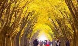 邳州热点爆料最新消息,突发事件引发关注，详情即将揭晓！