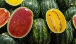 金华最新吃瓜事件爆料是真的吗,真相揭秘还是无端炒作？