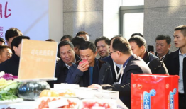 石家庄大学爆料视频最新,校园风云再起