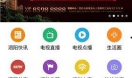 泗阳最新爆料新闻视频,视频揭露惊人真相，引网友热议！