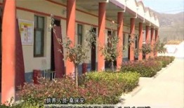 安阳爆料新闻最新消息,重大事件引发社会关注