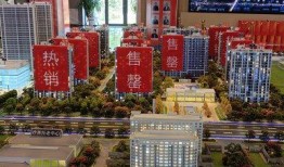 交运西雅图最新爆料,揭秘最新动态与未来规划