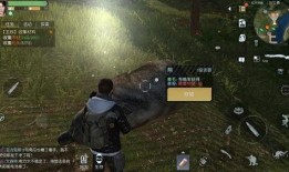 黎明觉醒生机最新爆料,全新爆料揭示神秘力量觉醒之谜