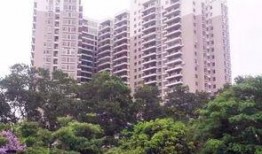 深圳石岩爆料事件最新进展,最新进展揭示惊人内幕