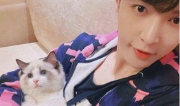 张艺兴肖战最新爆料,揭秘娱乐圈幕后真相