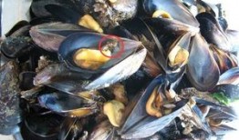 城阳海鲜爆料事件最新消息,最新进展及各方回应汇总