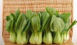 青菜爆料视频大全集最新,揭秘娱乐圈幕后真相