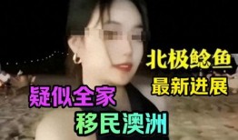 北极鲶鱼最新爆料,揭开神秘势力黑幕