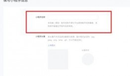 爆料小程序起名大全最新,爆款名称背后的创意与灵感