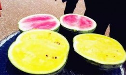 林州市最新吃瓜爆料,揭秘背后惊人真相