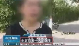 邢台一中爆料事件视频最新,真相揭开，校园安全引关注