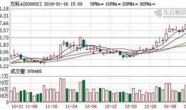 三九直播爆料最新消息,最新热点事件幕后真相大揭秘！”