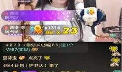 大嘴爆料二嫂视频大全最新,揭秘二嫂视频大全背后的惊人真相