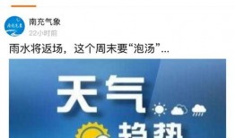 南充自媒体爆料案件最新,真相背后，正义能否得以伸张？