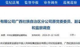 保险高管爆料案例最新消息,揭秘行业潜规则与内幕交易真相