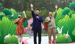 国风伙伴最新爆料消息视频,最新爆料视频深度解析