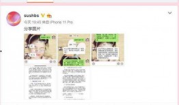 奶企高管爆料视频大全最新,揭秘行业内幕与真实状况