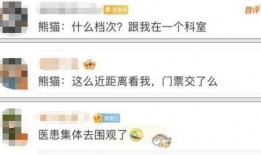 熊猫yy最新爆料消息,揭秘娱乐圈最新动态