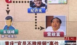 羊村最新爆料事件视频播放,事件视频播放引发热议