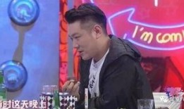 娱乐圈最新爆料许晴小说,娱乐圈再掀波澜，豪门公子与女神的甜蜜邂逅