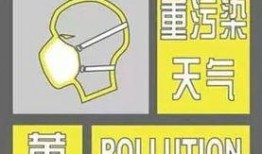 纸飞机老司机最新爆料内容,最新爆料带你领略纸飞机飞行新境界