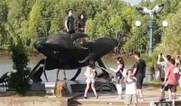 泰国游客爆料视频大全最新,最新视频大全揭秘异国风情与真实生活