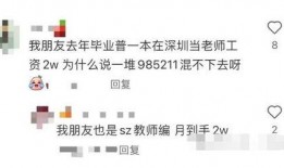 教师降薪最新爆料,最新爆料揭露行业困境