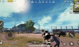 最新体验服刺激战场爆料,全新玩法与优化来袭，带你领略战场新风貌