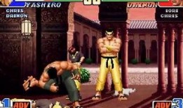 河池拳皇爆料事件最新进展,最新进展揭秘，真相大白！