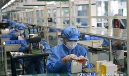 深圳工厂最新人员爆料,最新人员爆料揭示真实工作环境