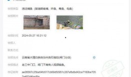 大理爆料最新消息新闻,聚焦热点事件，揭秘幕后真相