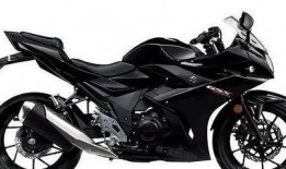 铃木gsx250r最新爆料,动力升级，性能再攀高峰！”