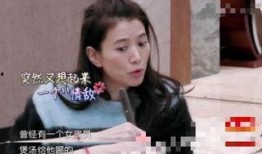 沈浪老婆最新爆料,揭秘明星夫妻背后的真相