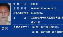 赣州自媒体爆料案件最新,惊天案件背后真相揭晓